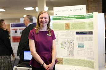 Undergraduate research